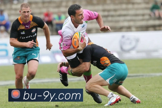 九游官网平台生态图